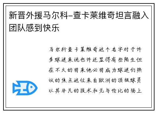 新晋外援马尔科-查卡莱维奇坦言融入团队感到快乐